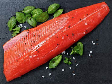 Sockeye Pacific Salmon