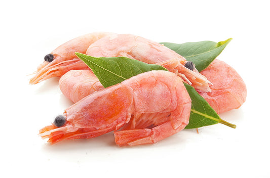 Cold Water Shrimp